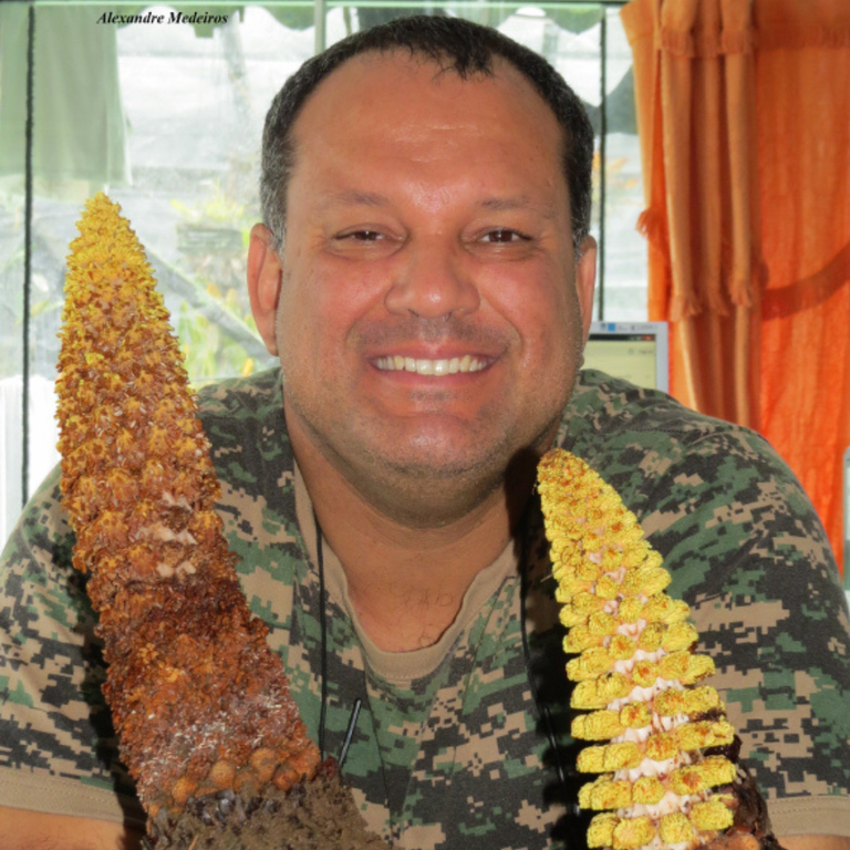 Alexandre da Silva Medeiros